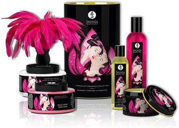 Подарунковий набір Shunga Romance Cosmetic Kit SO4497 фото